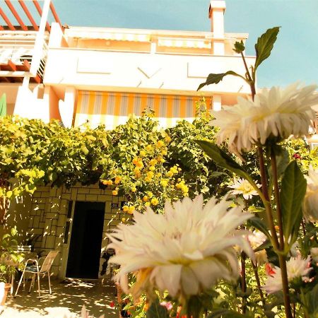 נובליה Guesthouse Jenny (Adults Only) מראה חיצוני תמונה